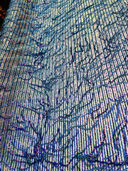 Elegance Sequin Fringe