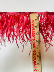 Ostrich Feathers