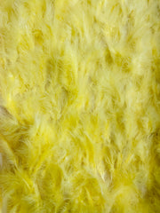 Feathers