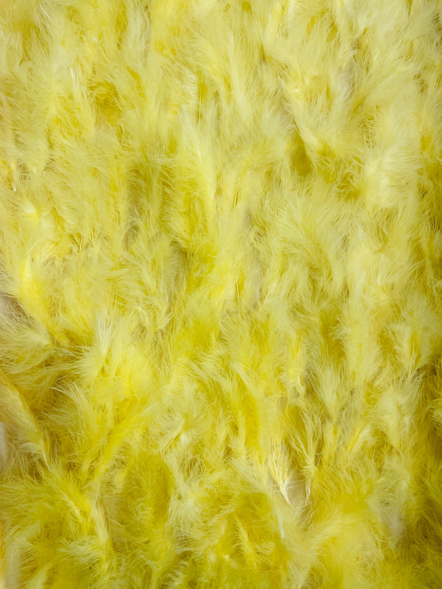 Feathers