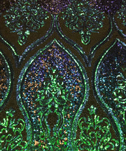 Pasley Design Sequin Lace