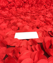 3D Roses